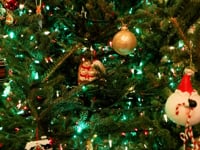 Holiday Video - creative promotional service -